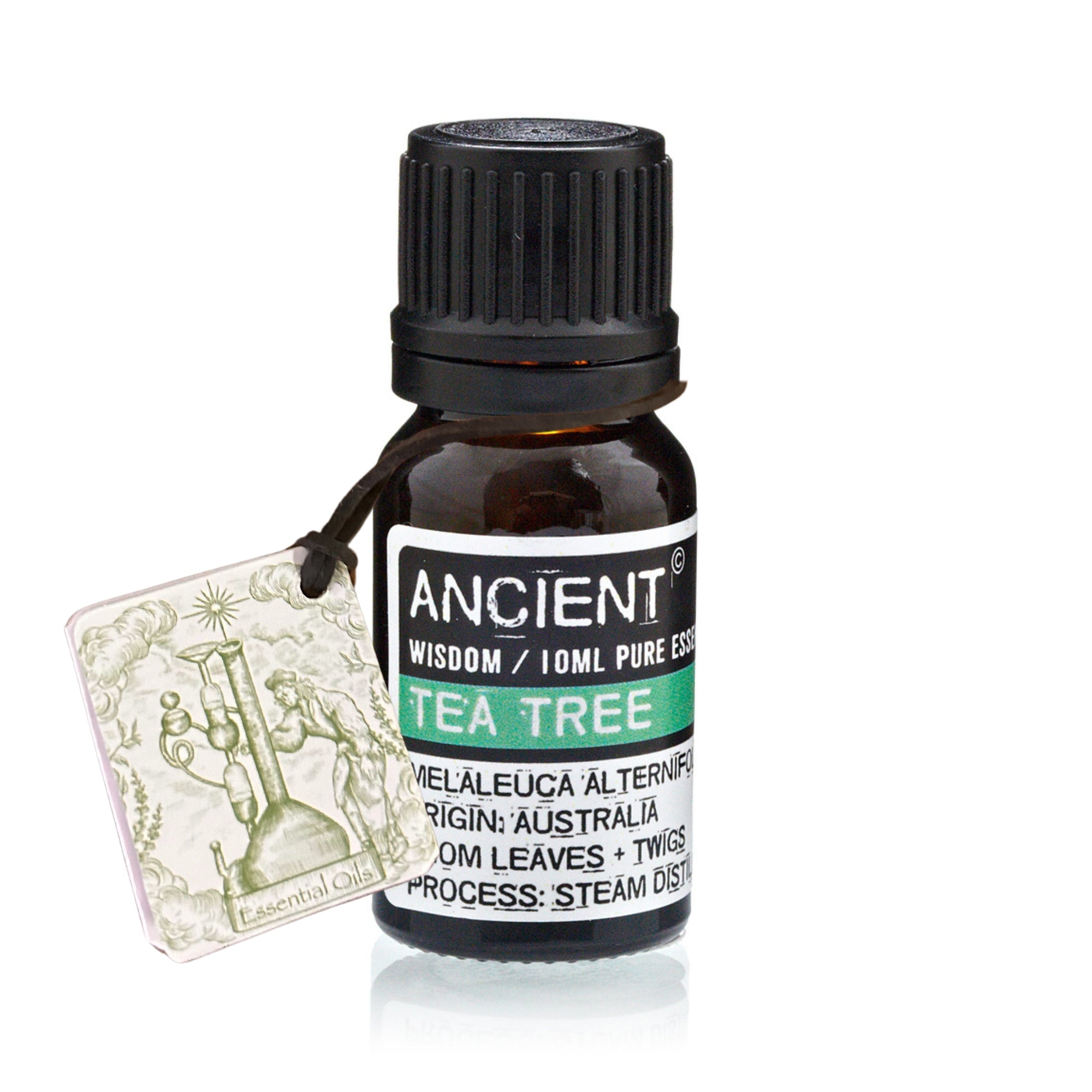 Tea Tree Essential Oil (10ml)